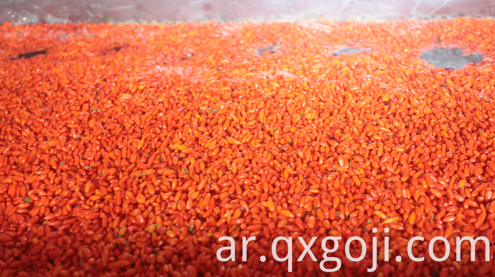 Red Organic Goji Berry